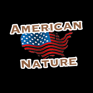 American Nature