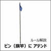 flagstick