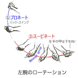 腕の旋回