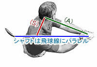 トップの形