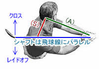 トップの形