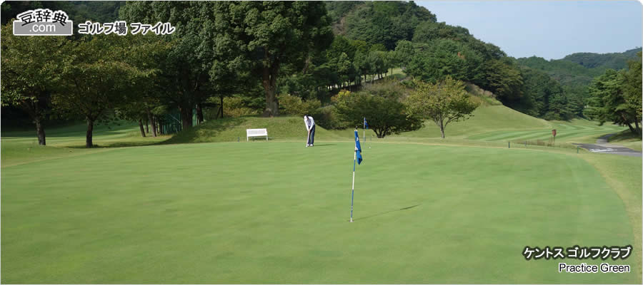 Practice Area