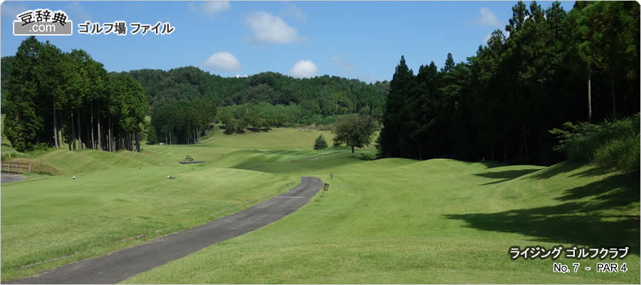 No.7