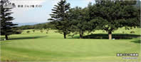 Practice Green