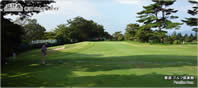 Practice Area
