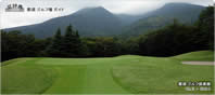 3rd Hole - Green