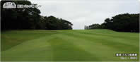 4th Hole - Green