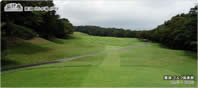 5th Hole