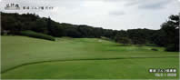 8th Hole