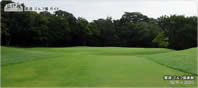 11th Hole - Green