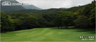 14th Hole - Green