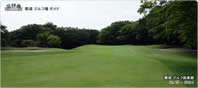 15th Hole - Green
