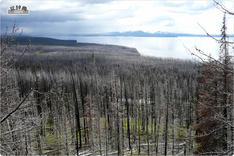 Yellowstone Lake