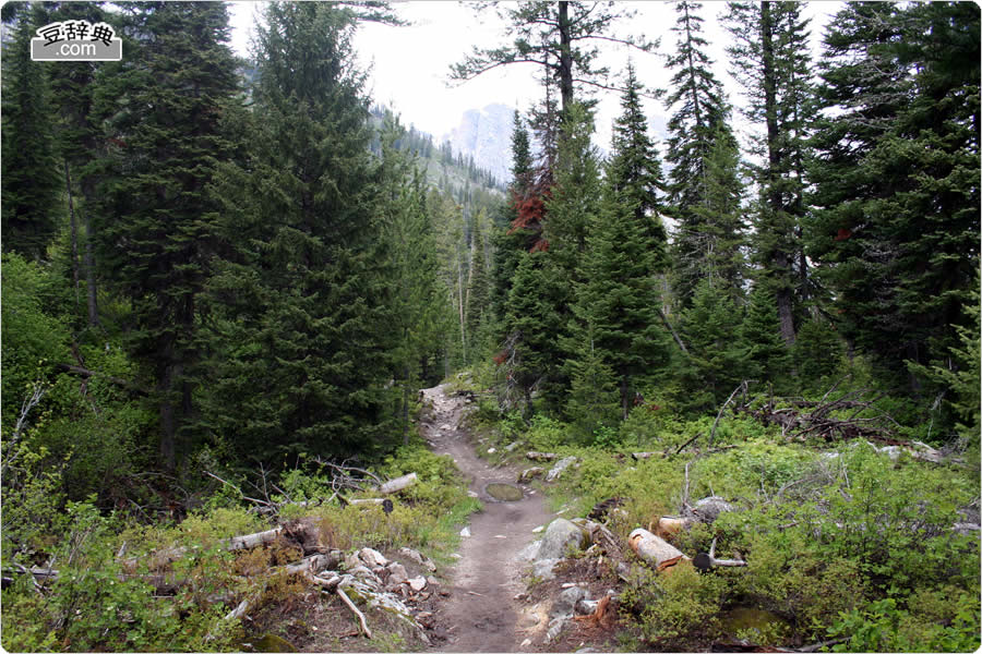 WFj[΂̃gC - Jenny Lake Trail