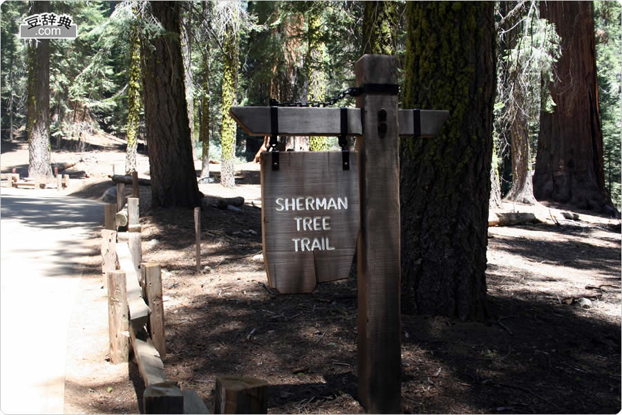 V[}Ec[EgC - Sherman Tree Trail