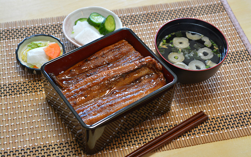 Unagi