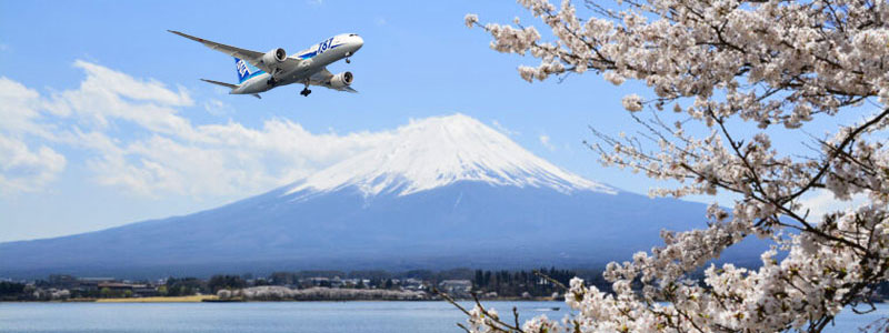 Before You Fly
