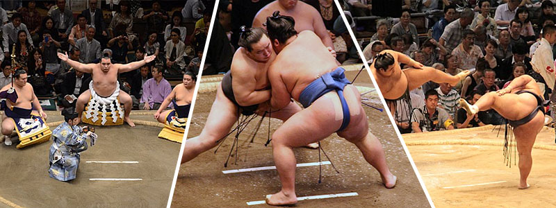 Sumo