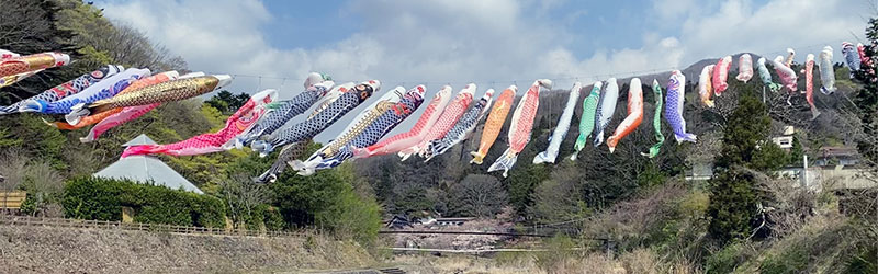 Koinobori