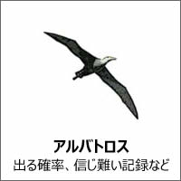 アルバトロス 確率 信じ難い記録など アルバトロス 確率 信じ難い記録など
