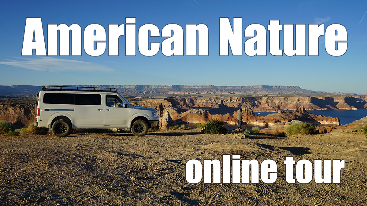 アメリカ旅行豆辞典 北米大陸 大自然の絶景探訪 アメリカ旅行豆辞典 北米大陸 大自然の絶景探訪