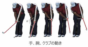 チップ ショット