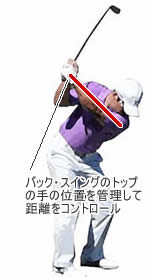 ウェッジ・ショット
