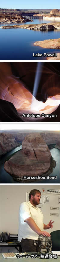 antelope