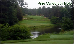 Pine Valley #5