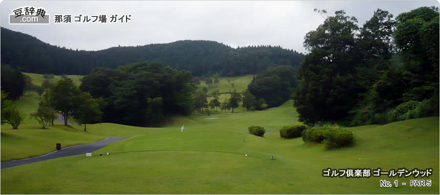 ゴルフ 倶楽部 ゴールデン ウッド