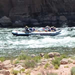 Colorado River Rafting