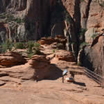 Canyon Overlook